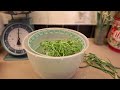 Best Salad Spinner? Here's What I Think After 30 Days