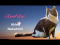 April star/中森 明菜 Akina Nakamori 【ご本人の画像は登場しません】