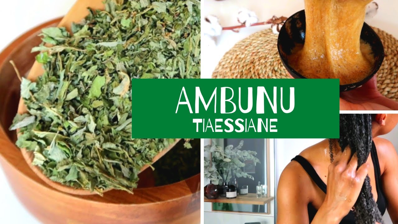 L'herbe démêlante d'Ambunu pour cheveux - Capill'Care