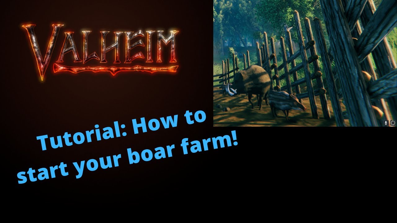 How to start your own boar farm! Valheim YouTube