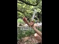割り箸に入ってた爪楊枝を使ってこんな事が!