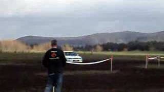Paddock Bash Panda