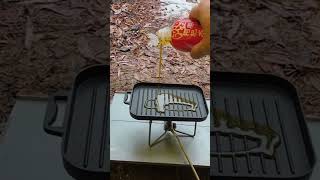 Just a basic setup, but somehow it turns into a proper meal out here.