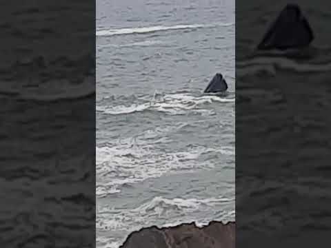 Hadi Maktouba Bahija Idriss Abdelwahab Doukk هادي مكتوبة Mohamed Benabdeslam