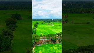 🎥 Hidden Nature Paradise in Embilipitiya 🇱🇰 | Sri Lanka’s Secret Beauty #travel#travelpodda