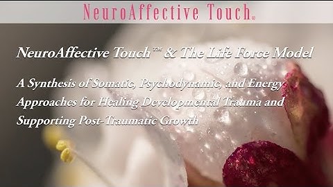 NeuroAffective Touch™