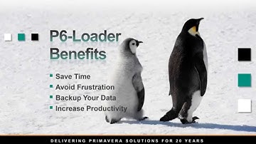 P6-Loader Use Case #3: Reworking A Primavera P6 WBS Structure