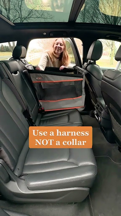 Animals Matter® Companion Travel Hammock Car Seat Cover