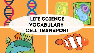 Life Science Vocabulary week 4