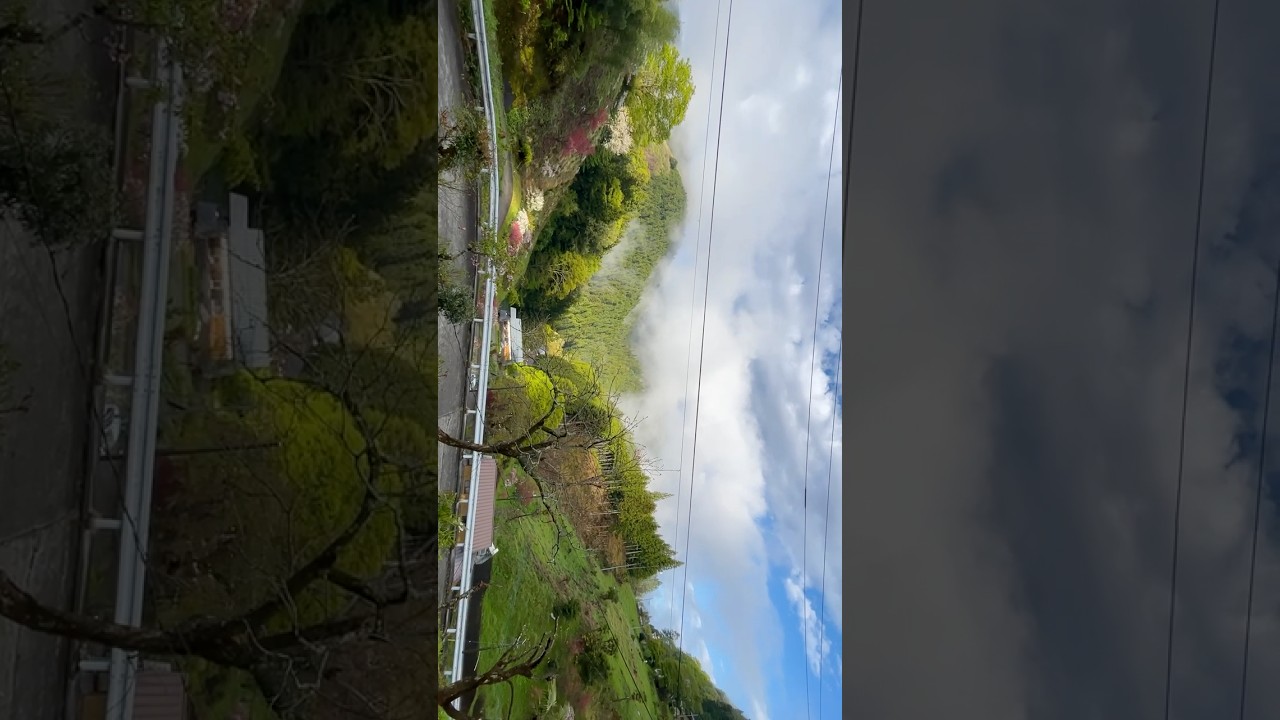 春|#我が家からの眺め #里山 #田舎暮らし