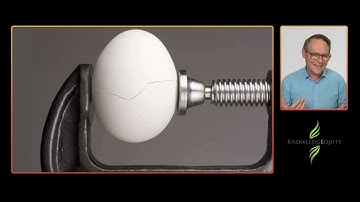 A Costly Error - An Ethical and Expensive Disaster