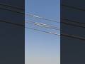 Mid span Joint Overhead transmission line work #foryou #youtubeshorts