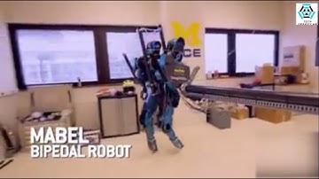 10 Fastest Robots in the World 2021 #amazon