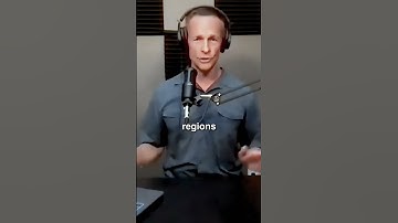 How Neurotransmitters Function