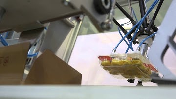 Zucchini Packaging - Vertical case packer with Flex picker robot in fresh pasta field.