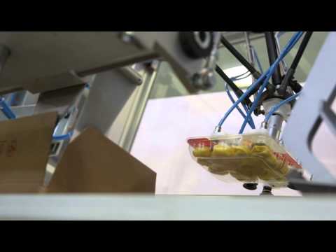 Zucchini Packaging - Vertical case packer with Flex picker robot in fresh pasta field.