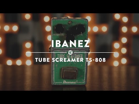 Ibanez TS-808 Tube Screamer | Reverb Demo Video - YouTube
