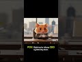 CEO Hamster: The Beginning