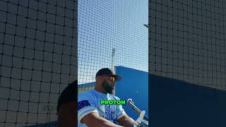 Europe Baseball: Intense Family Vibe &amp; Packed Stadiums! #shorts