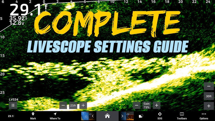 LiveScope Settings UPDATED  Get a CLEAR Picture (Garmin LiveScope Plus  LVS34) 