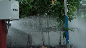 Automated Watering System