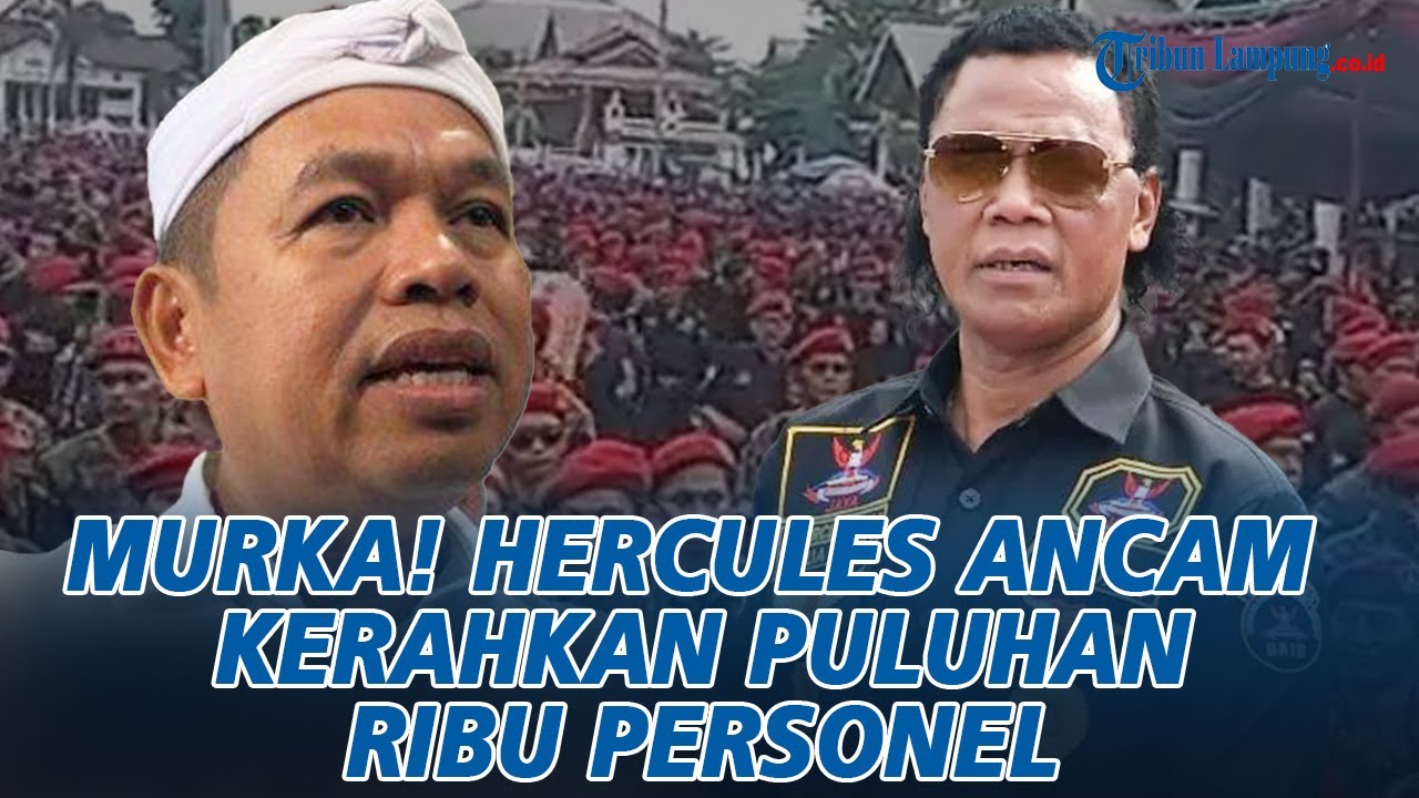 Hercules Tuding Dedi Mulyadi Tak Tahu Diri Didukung Ormas, Bakal Kerahkan 50 Ribu Orang GRIB Jaya