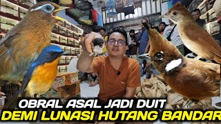 Banting Harga  Cucak Ijo Cililin Kapas Tembak Wambi Tledekan Gunung Dll Dikios Alhamdulillah