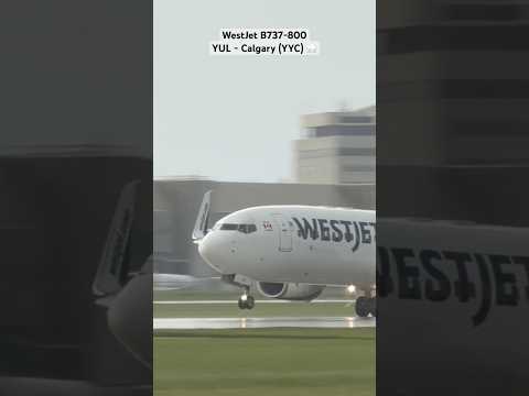 Insane Engine Roar! Boeing 737-800 Blasting Out of YUL in a Storm 🇨🇦