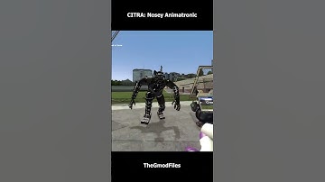 CITRA: Nosey Animatronic #garrysmod #gaming #nextbots #sandbox