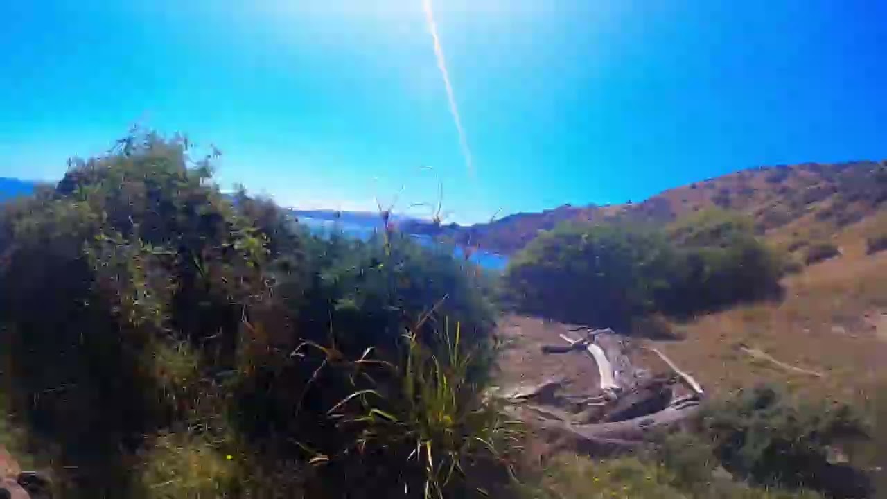 Titahi Bay dive 22nd Feb 2025