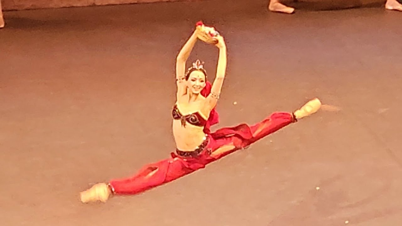 Ева Сергеенкова - Баядерка. Танец с корзинкой. Большой театр.