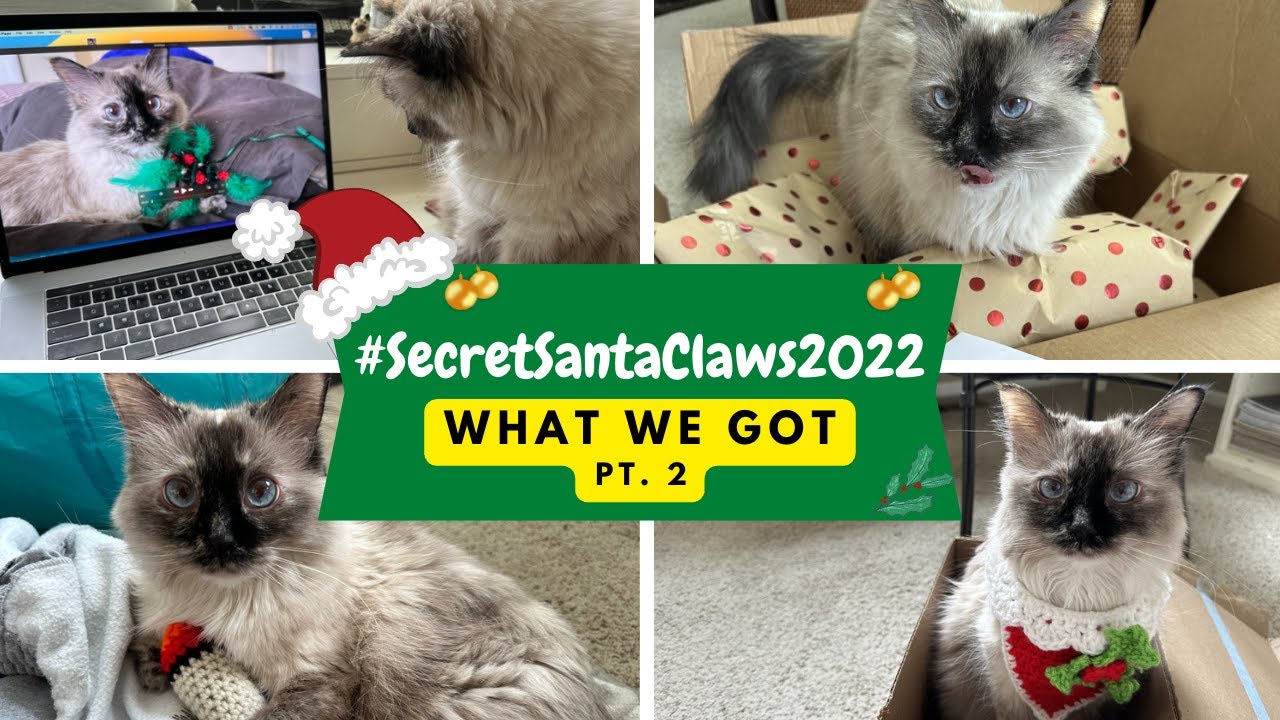 SecretSantaClaws2022 GIFT HAUL #2!
