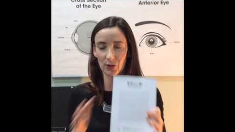 How to use an Amsler chart