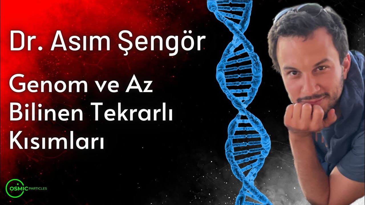 asim sengor eth