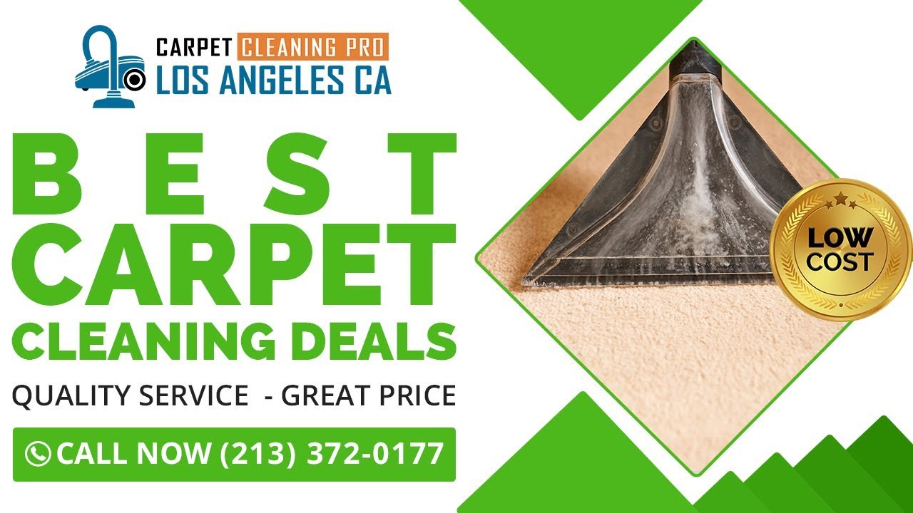 Best Carpet Cleaning Deals Torrance CA Call Today (213) 3720177 YouTube
