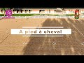 Ponygames  a pied  cheval