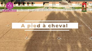 Pony-Games - A Pied à Cheval screenshot 1