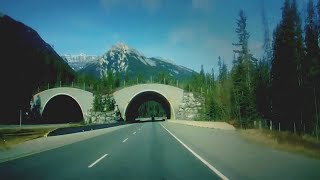 Boards of Canada - Left Side Drive (Video)