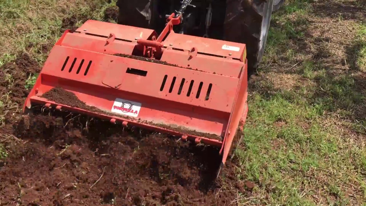 Vangatura domenicale tra gli olivi