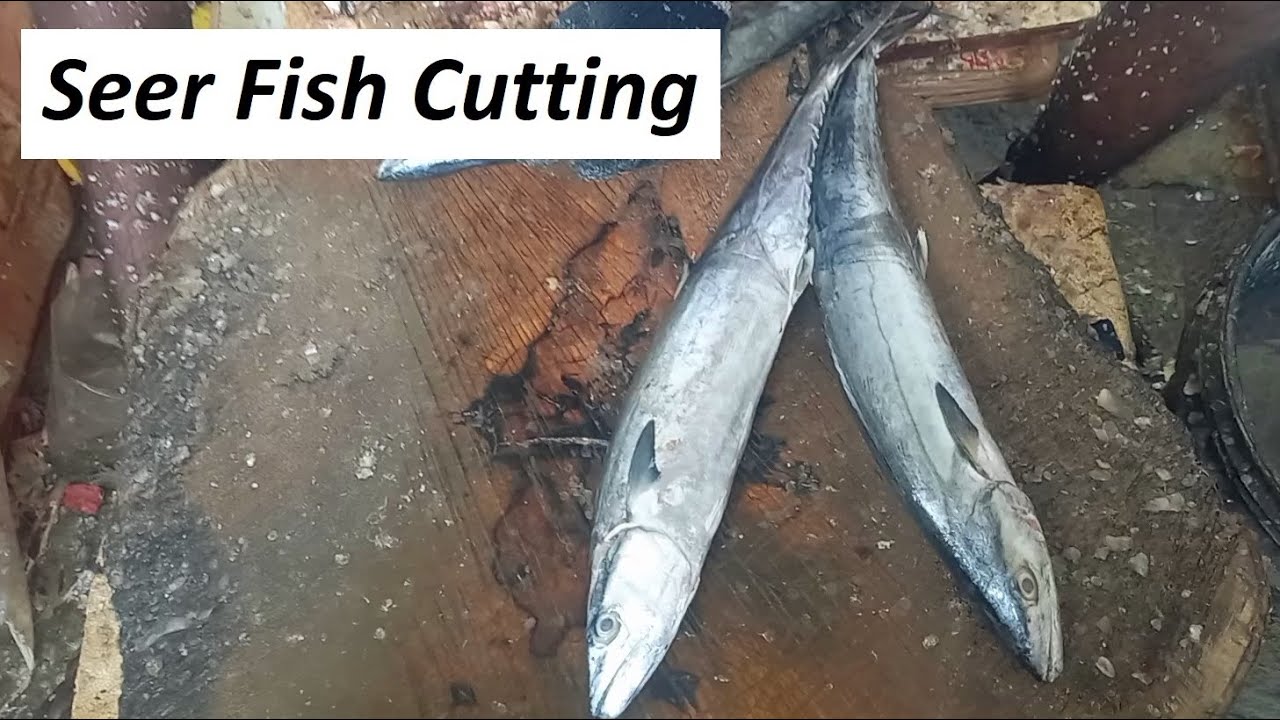Seer Fish / Vanjaram / Ayakoora / King Mackerel Fish cutting and cleaning in Chennai Fish Market