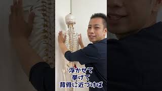 【寝たまま30秒ずつ】ガチガチの肩甲骨はがしてフニャフニャにする方法