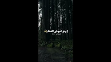 سورة الزخرف القارئ علي جابر رحمه الله