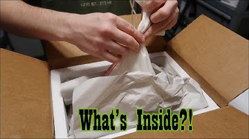 Powerhouse Ball Python Unboxing!
