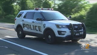 Twins Killed On Long Island, Mother Suspected