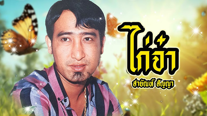 เพลง ไก่จ๋า สายัณห์ สัญญา LYRICS VIDEO พร้อมเนื้อเพลง
