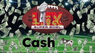 The Super Bowl.. Sports' Ultimate Cash Cow