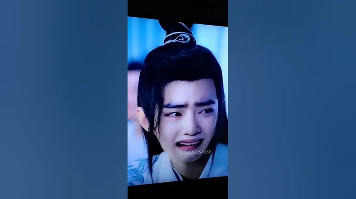 Sad Filter WangXian 🤣 #wangyibo #xiaozhan #lanwangji #weiwuxian #theuntamed #modaozushi - DayDayNews