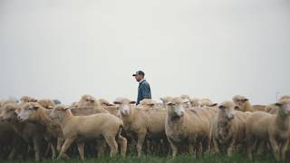 Pivot Energy Land Stewardship Case Study | Cutdown