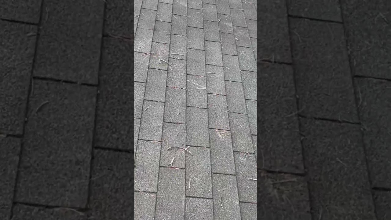 How long will my shingles last? 