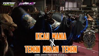 DJ BANTENGAN KICAU MANIA X TEMAN MAKAN TEMAN‼️LEMBU JANOKO FEAT TOPIK WIJAYA FROM DJ AM PROJECT